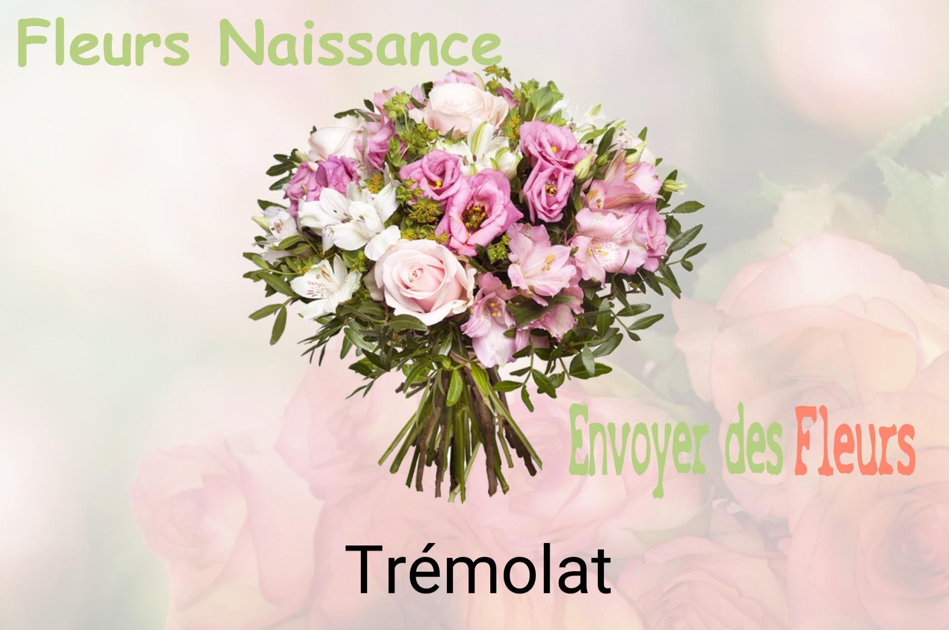 Bouquet de fleurs de naissance livré à Trémolat